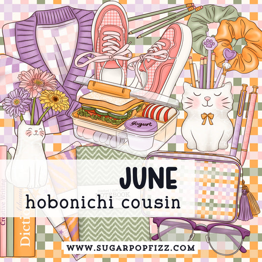 June Hobonichi Cousin Subscription Extras