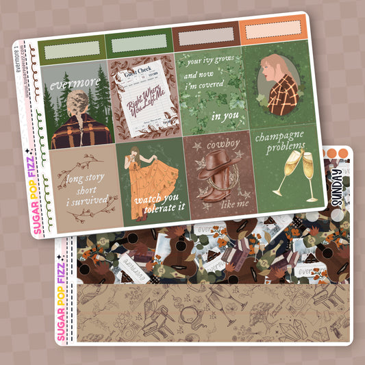 Collection of decorative planner stickers with various designs themed around taylor swift's evermore album on a beige background. Stickers include functional and decorative full box stickers