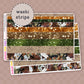Set of colorful washi strips themed around taylor swift's evermore album in browns, greens and orange on a sticker sheet on a pink background with 'washi strips' text.
